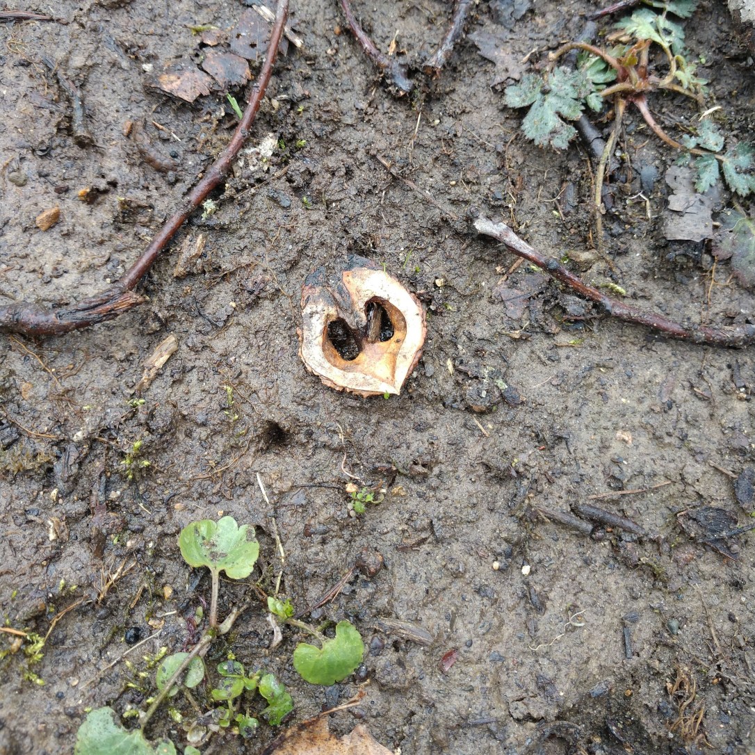 A Lessons For&nbsp;Corona…Ug